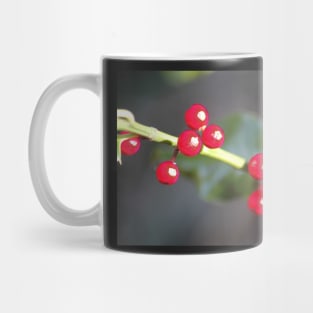 holly berry macro Mug